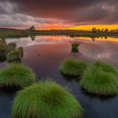 Zum Moor Apartment *