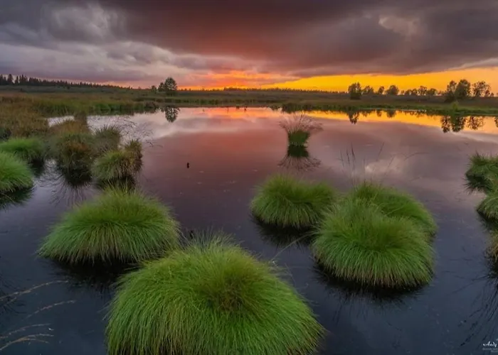 Zum Moor 아파트 *